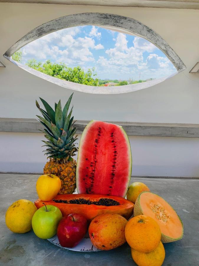 Villa Antilope Cancun Exterior photo